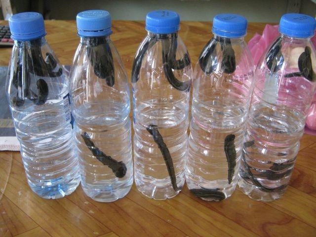 VIP-Customers ONLY 70 Hirudo Leeches.